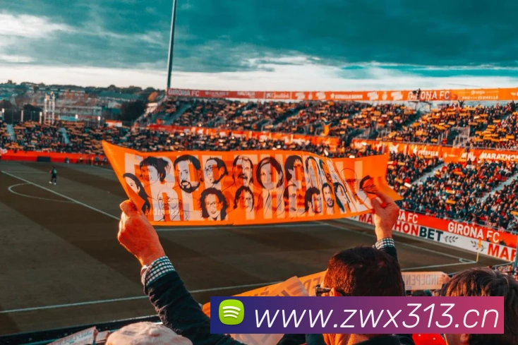 多媒体互动体验